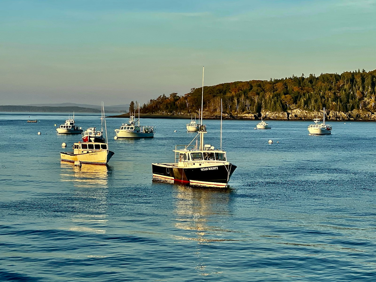 Landscape near Belfast, Maine