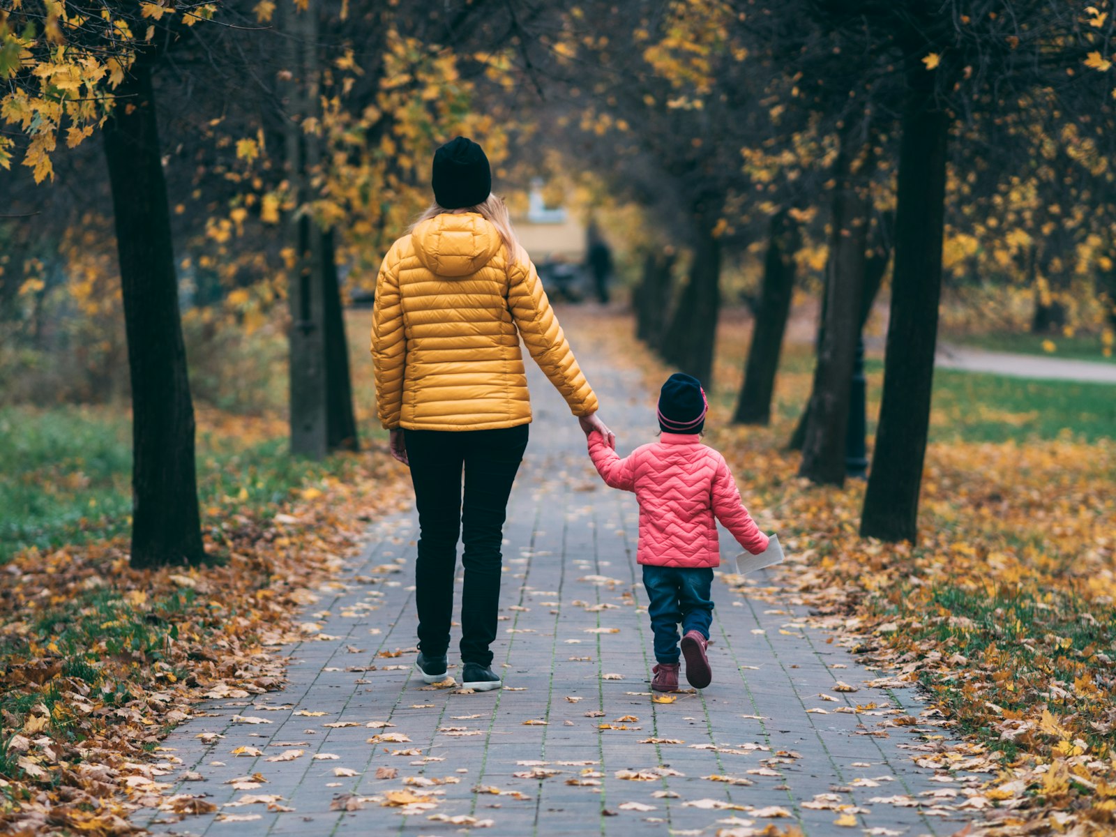 Family Law