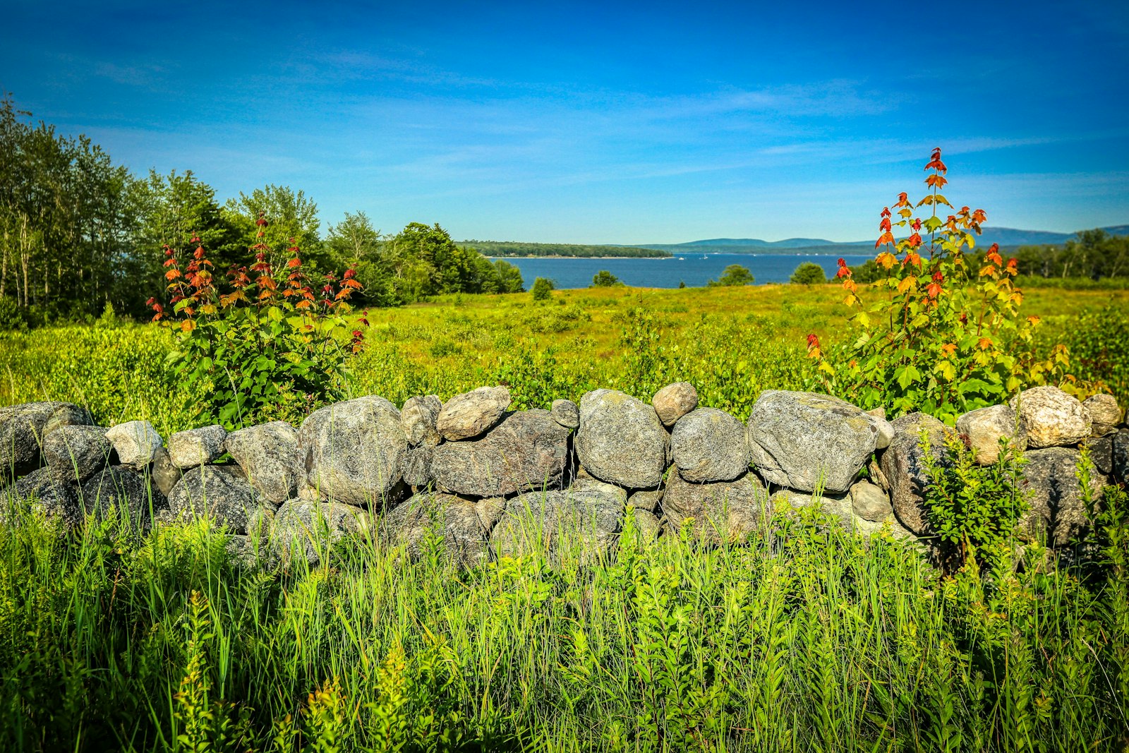 Landscape near Unity, Maine
